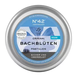 SELBSTVERTRAUEN Bachin kukkapastilli Dr. Bachin mukaan, 50 g