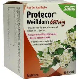 PROTECOR Windthorn 600 mg kalvopäällystetyt tabletit, 100 kpl