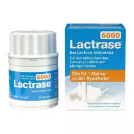 LACTRASE 6 000 FCC kapselia, 60 kpl