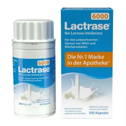 LACTRASE 6 000 FCC kapselia, 100 kpl