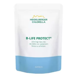 B-LIFE Suojakapselit, 360 kpl