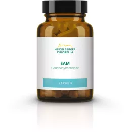 SAM S-ADENOSYLMETHIONIN kapselit, 60 kpl