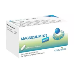 MAGNESIUM 375 forte kapselia, 120 kpl