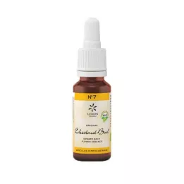 Bach Blossom Ei. 7 kastanja bud bio, 20 ml