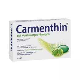 CARMENTHIN ruoansulatushäiriöihin msr.Pehmeät kapselit, 14 kpl