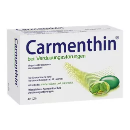 CARMENTHIN ruoansulatushäiriöihin msr.Pehmeät kapselit, 42 kpl