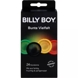 BILLY BOY värikäs lajike, 24 kpl