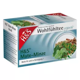 H&S Mate Mint pölypussi, 20 kpl