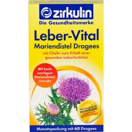 ZIRKULIN Leber-Vital Milk Thistle -tabletit, 60 kpl