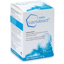 LACTOBACT Forte -mahalaukun resistentit kapselit, 120 kpl
