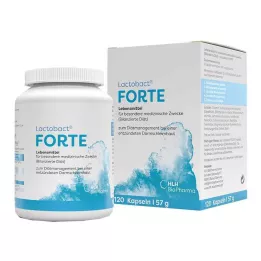 LACTOBACT Forte enterokapselit, 120 kpl