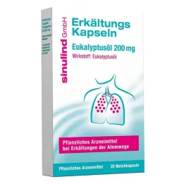 sinulind® kylmäkapselit, 20 kpl