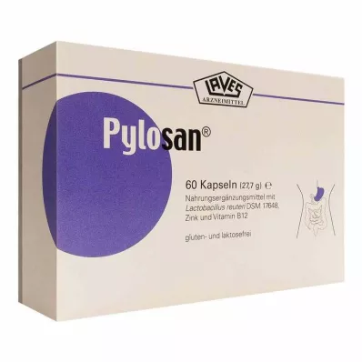 PYLOSAN kapselit, 60 kpl