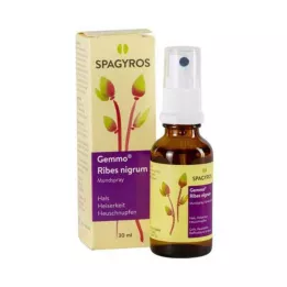 GEMMO Ribes nigrum -suihke, 30 ml