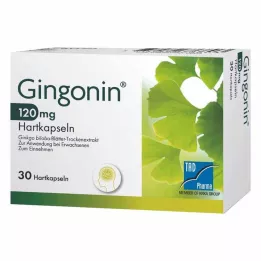 GINGONIN 120 mg kovat kapselit, 30 kpl