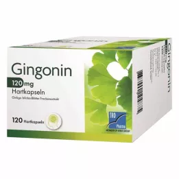 GINGONIN 120 mg kovat kapselit, 120 kpl