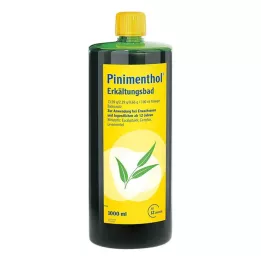 PINIMENTHOL Kylmähaude 12-vuotiaasta alkaen, 1000 ml