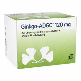 GINKGO ADGC 120 mg kalvopäällysteiset tabletit, 120 kpl