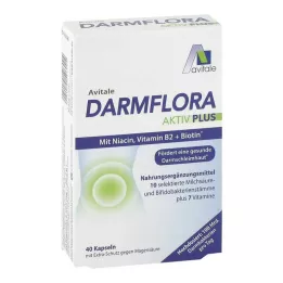 DARMFLORA Aktiv Plus 100 miljardia bakteeria + 7 vitamiinia, 40 kpl