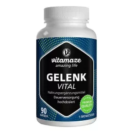 GELENK VITAL kapselit, 90 kpl