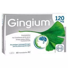 GINGIUM 120 mg kalvopäällysteiset tabletit, 60 kpl