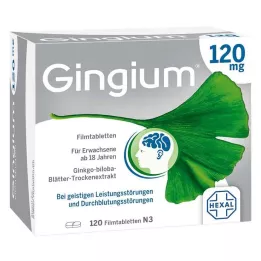 GINGIUM 120 mg kalvopäällysteiset tabletit, 120 kpl