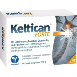 KELTICAN Forte Capsules, 80 kpl