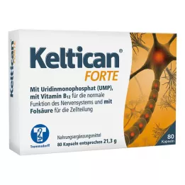 KELTICAN forte kapselit, 80 kpl