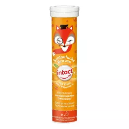 INTACT Schlaufuchs-poretabletit raudalla, 15 kpl