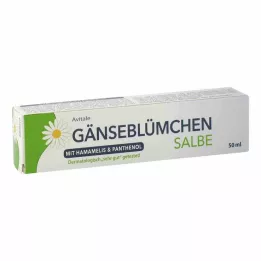 GÄNSEBLÜMCHEN Voide taikapähkinällä & Pantenoli, 50 ml