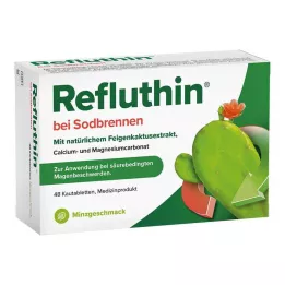 REFLUTHIN närästykseen purutabletit minttu, 48 kpl