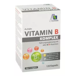 VITAMIN B KOMPLEX kapselit, 120 kpl