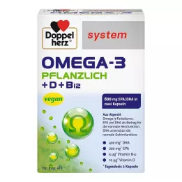 DOPPELHERZ Omega-3 kasvipohjaiset järjestelmäkapselit, 120 kpl