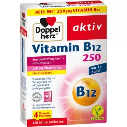 Doppelherz Aktiivinen b12-vitamiini 250 μg, 120 kpl