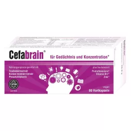 CEFABRAIN Kovat kapselit, 60 kpl