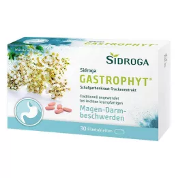 SIDROGA GastroPhyt 250 mg kalvopäällysteiset tabletit, 30 kpl