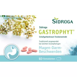 SIDROGA GastroPhyt 250 mg kalvopäällysteiset tabletit, 60 kpl