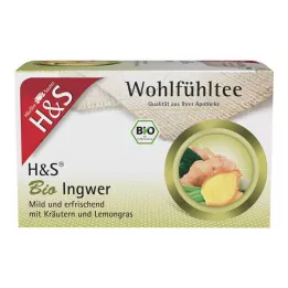 H&amp;S Organic Inkiväärisuodatinpussit, 20X2 g