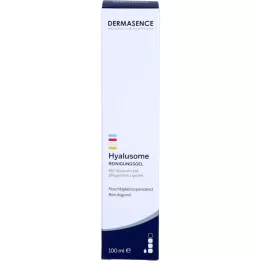 DERMASENCE Hyalusome -puhdistusgeeli, 100 ml
