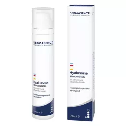 DERMASENCE Hyalusome Cleansing Gel, 100 ml