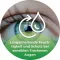 Ocutears Alo + silmätipat, 1X10 ml
