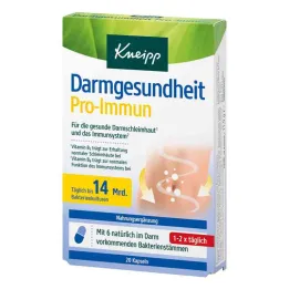 Kneipp intestinal health pro-immuunikapselit (20 kpl)