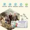 Gastritol® imeskelytabletit, 10 kpl