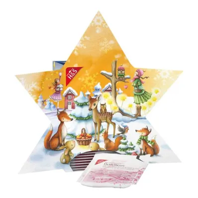H&amp;S Adventtikalenterin tähtisuodatinpussit, 24 kpl