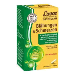Luvos Gastrosan Flatulence &amp; Kipukapselit, 30 kpl
